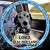 Debbie Phillips's profile image