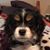 Karyn Connor Marklinger's profile image