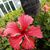 Kelly Mitchell-Walsh's profile image