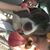 Joe Grierson's profile image