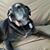 Stephanie Childs's profile image