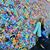 Rachelle May-Dunn's profile image