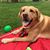 Lisa Zeller's profile image