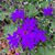 LaRae Enman Munns's profile image