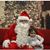 Lisa Martino Castro's profile image