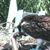 Nancy Abouhanna's profile image