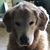 Jill Phillips's profile image