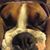 Greg Nowlin's profile image