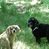 Linda Smith's profile image