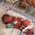 Ann Menta Horan's profile image