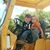 Linda Houle's profile image