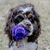 Mike Mcmillen's profile image