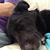 Debbie Gipper's profile image