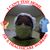 Pamela Stacy's profile image
