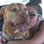 Ashley Dawn Margeta's profile image