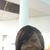 Dianne Dorsey's profile image