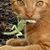 Cara da Bike's profile image