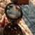 Vicky Tohill Festervan's profile image