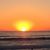 Beth Witmer's profile image