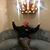 Wesley Baesel's profile image