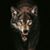 David Eggenberger's profile image