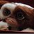 Mary Ann Carroll's profile image