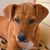 Lisa Filippo's profile image