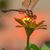 Robin Haley Saunders's profile image