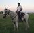 Imran Lakhani's profile image