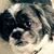 Colleen Grande Militello's profile image