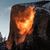 Wade Ettleman's profile image