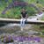 Jonelle Buttars's profile image