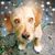 Jennifer Hughes's profile image