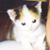 Penny Lindsay's profile image