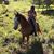 Linda Rochford Gray's profile image