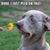 Randy Dravis's profile image