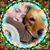 Gail Lea Cochran's profile image