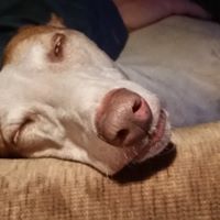 Elaine Miller Summerhill's profile image