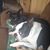 Andrea Woodring's profile image