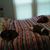 Teri Marie Dumont's profile image