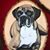 Celeste Montalvo's profile image