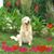 Gail Cyburt Cilli's profile image
