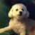 Frances Love Weathers's profile image