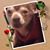 Chelle Bourne's profile image