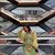 Mariana Duran's profile image