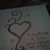 Colleen Westfall's profile image