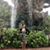 Nicole Williams's profile image