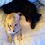 Vicki Wright Klinetop's profile image