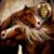 Kathy Willis's profile image