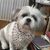 Charlene DeCoursey's profile image